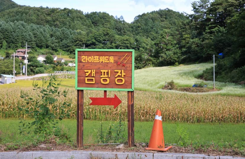 라이프위드도그 사진 6