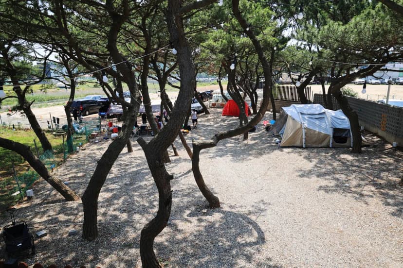 을왕리 솔트 캠핑장 사진 3