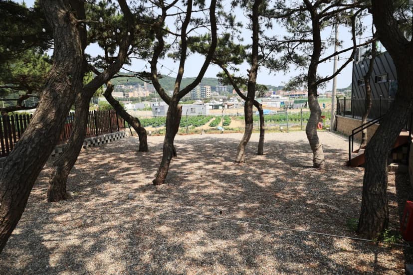 을왕리 솔트 캠핑장 사진 8