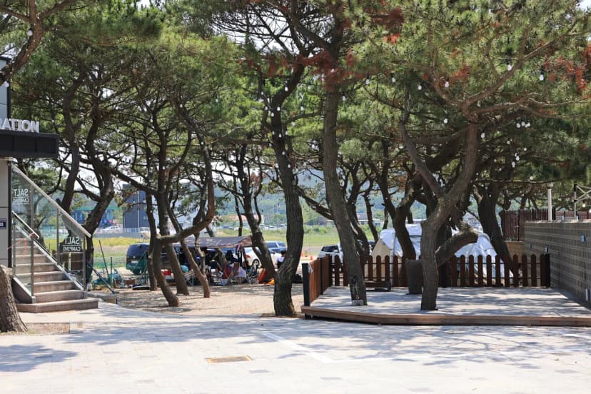 을왕리 솔트 캠핑장 사진 9