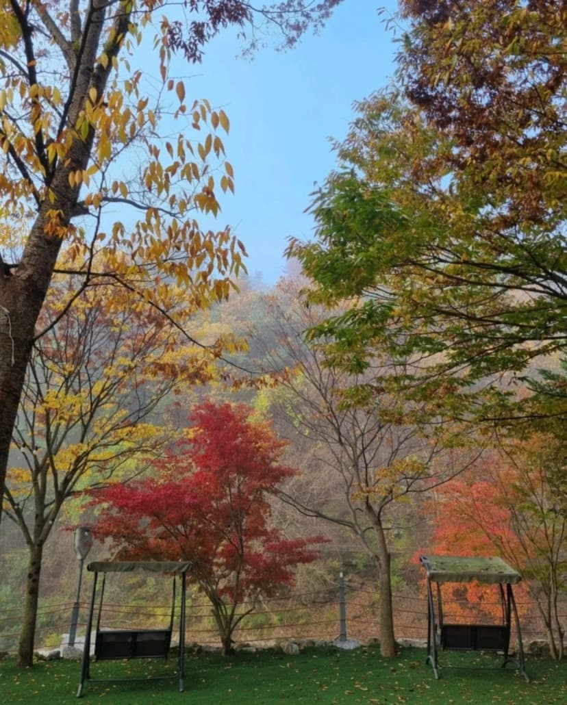 별밤 글램핑 사진 9