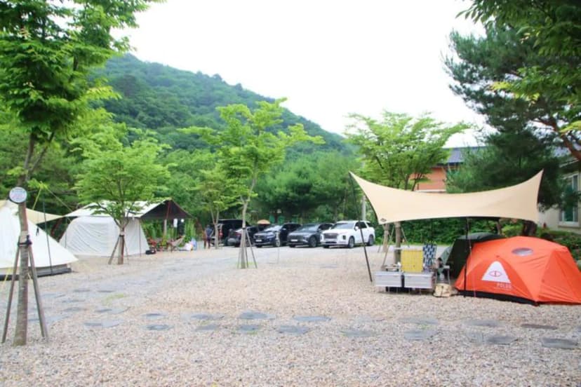 캠프 고토일 사진 2