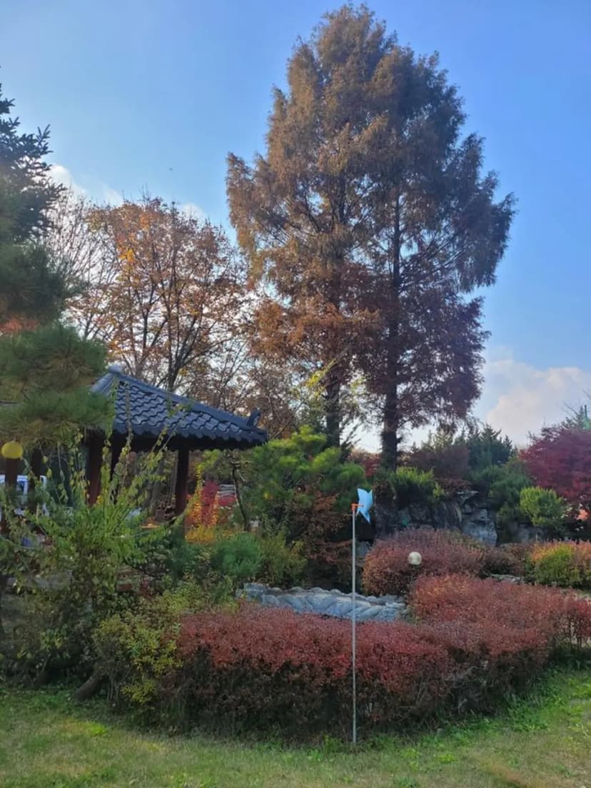 금산만악리수목원 오토캠핑장