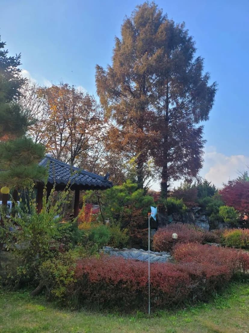 금산만악리수목원 오토캠핑장 사진 3