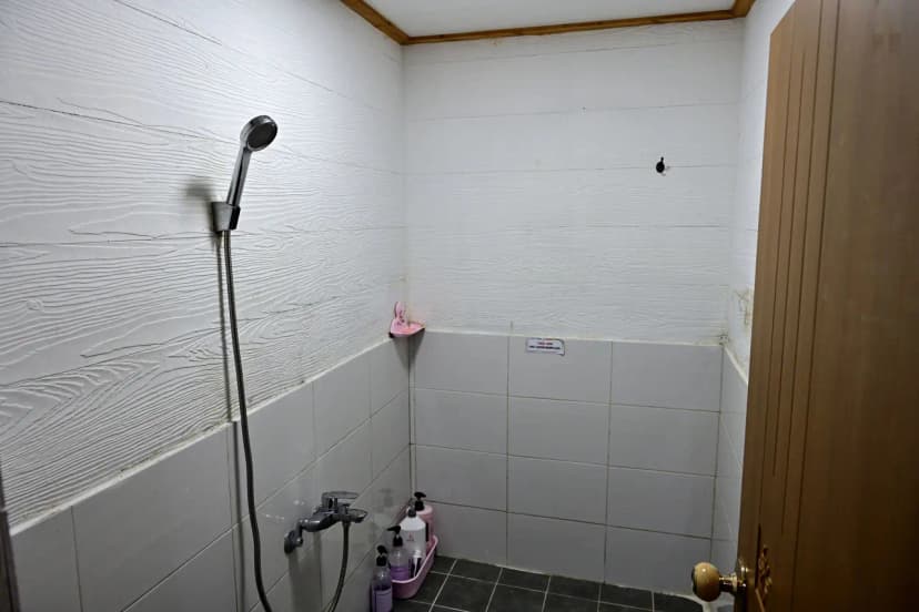 그린 앤 블루 사진 8