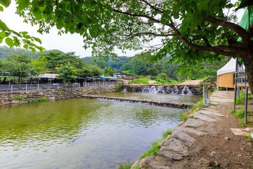 팔공 쉼터 야영장 사진 2