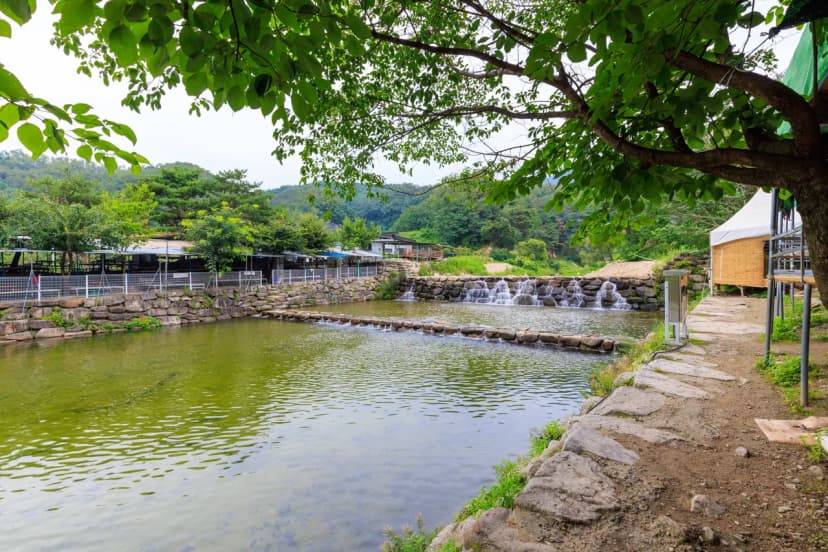 팔공 쉼터 야영장 사진 3