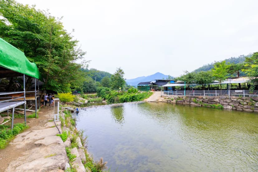 팔공 쉼터 야영장 사진 4