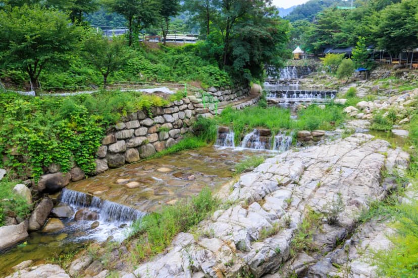 팔공 쉼터 야영장 사진 6