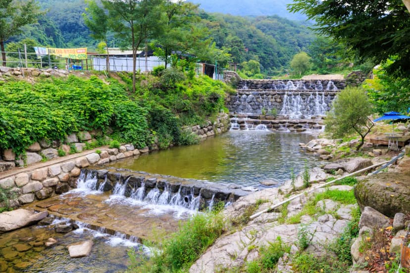 팔공 쉼터 야영장 사진 7
