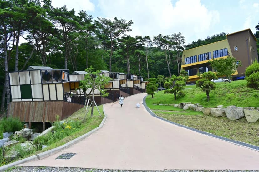 이숲e랜드 야영장 사진 4