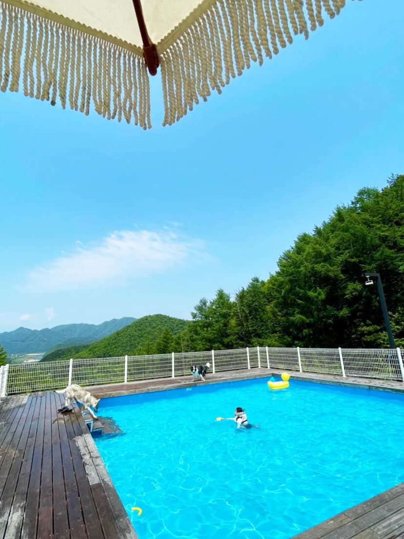 캐닌힐스(CANINHILLS) 사진 5