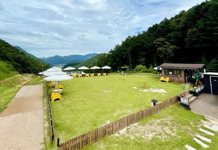 캐닌힐스(CANINHILLS) 사진 7