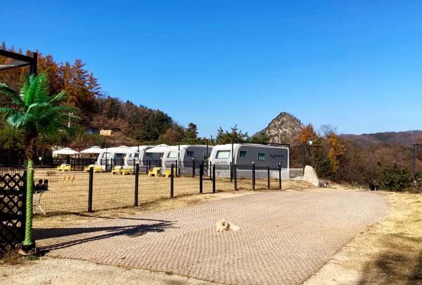 캐닌힐스(CANINHILLS) 사진 11