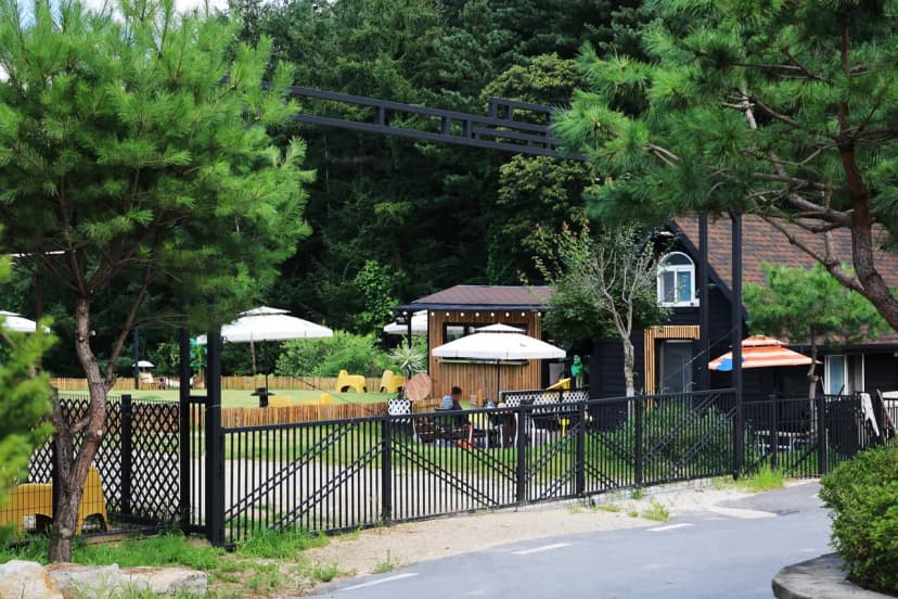 캐닌힐스(CANINHILLS) 사진 15