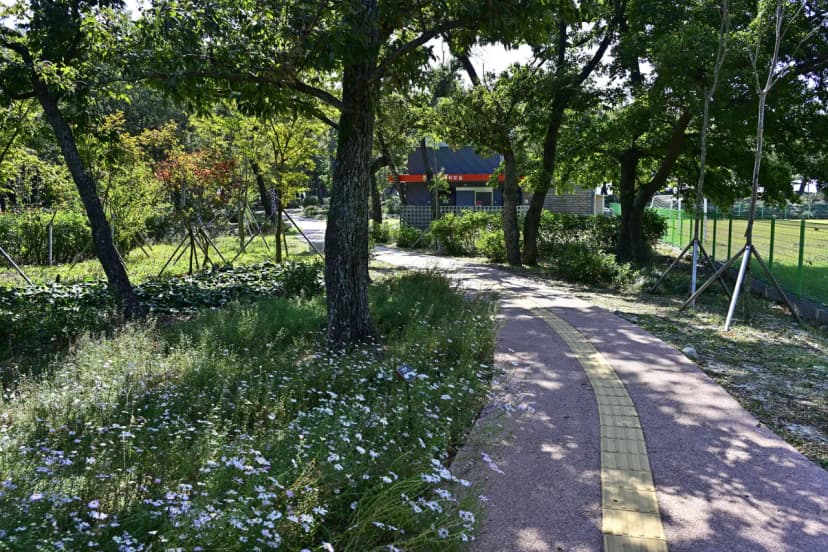 남해 힐링국민여가캠핑장 사진 9