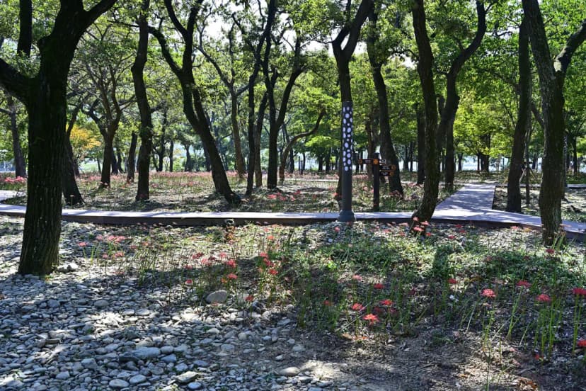 남해 힐링국민여가캠핑장 사진 16