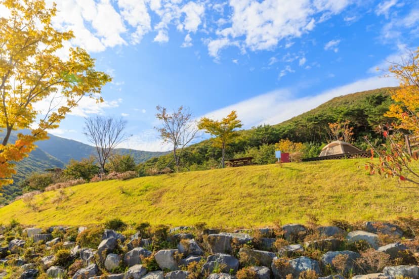 거금도 청석 오토캠핑장 사진 14