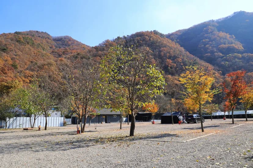 우리오토캠핑장 사진 7