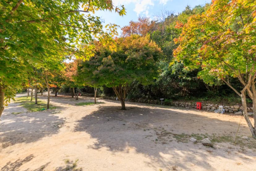 심천치유자연휴양림야영장 사진 15