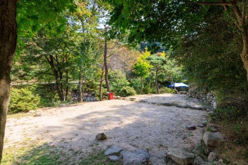 심천치유자연휴양림야영장 사진 17