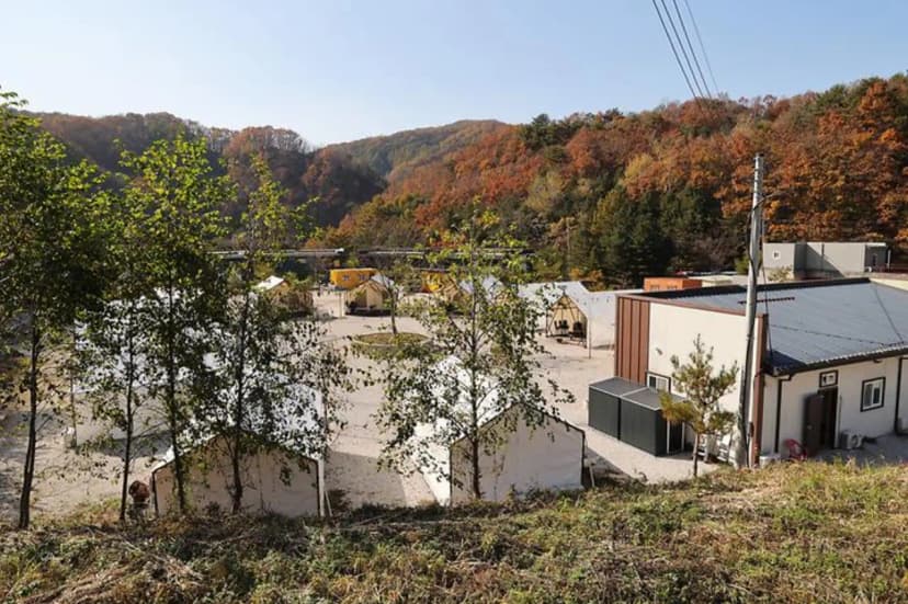 호랑이캠핑 사진 3