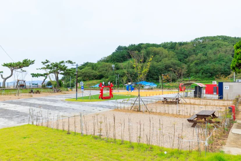 경상북도교육청 영덕오토캠핑장 사진 17