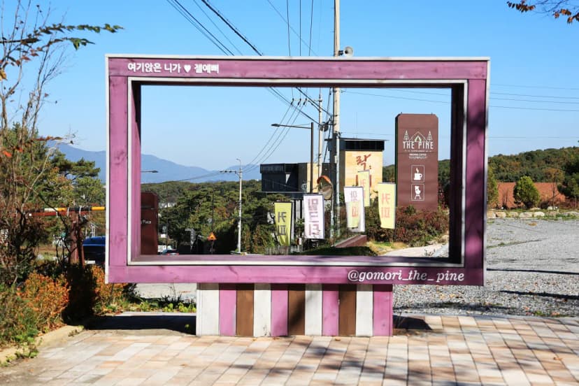 더파인캠핑 사진 18