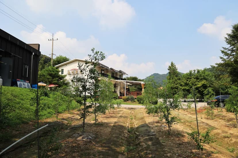 초리풍경 사진 5