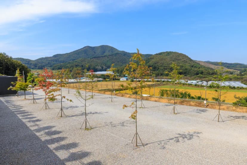 진천포레스트캠핑장 사진 4