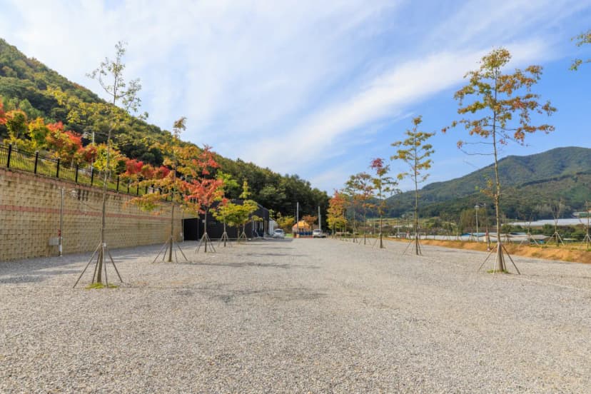 진천포레스트캠핑장 사진 5