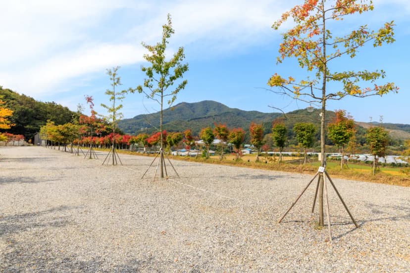 진천포레스트캠핑장 사진 7