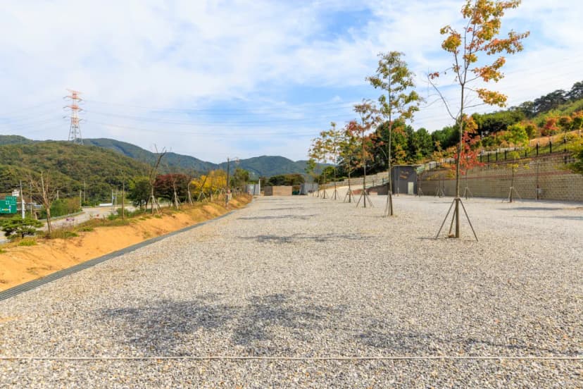 진천포레스트캠핑장 사진 12