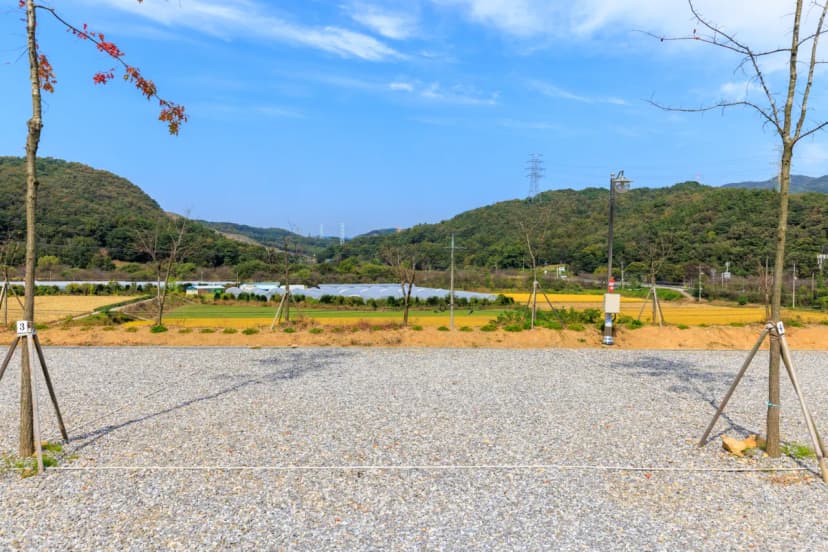 진천포레스트캠핑장 사진 13