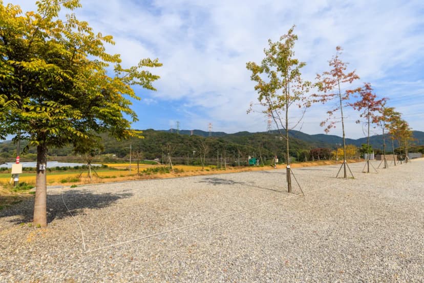 진천포레스트캠핑장 사진 15