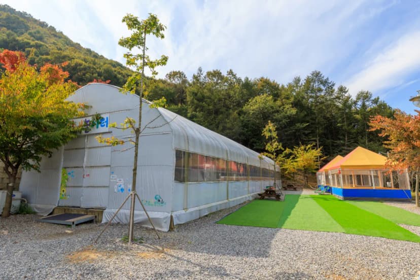 진천포레스트캠핑장 사진 18