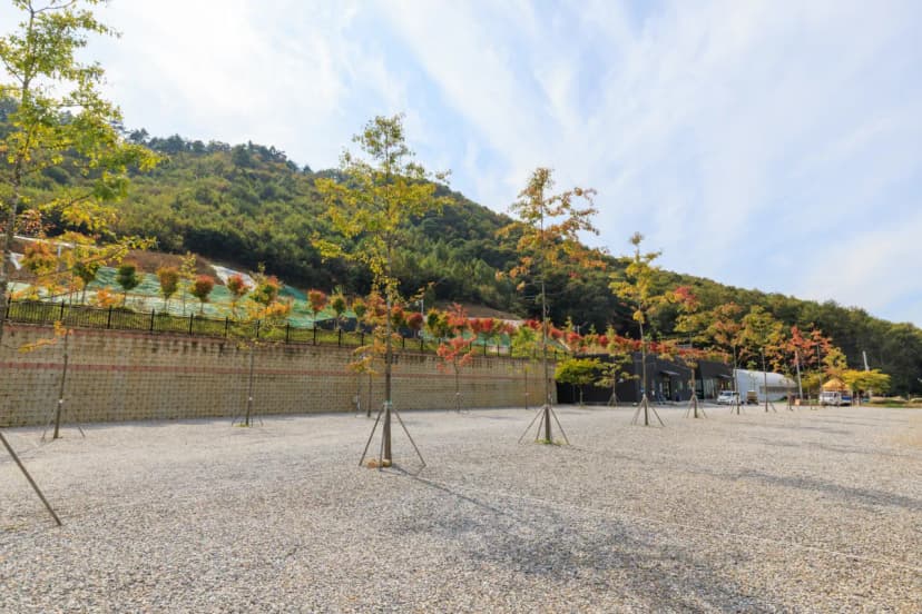 진천포레스트캠핑장 사진 21