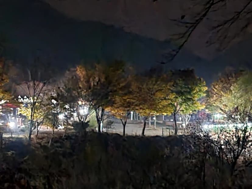 더 하루만 캠핑장 사진 14
