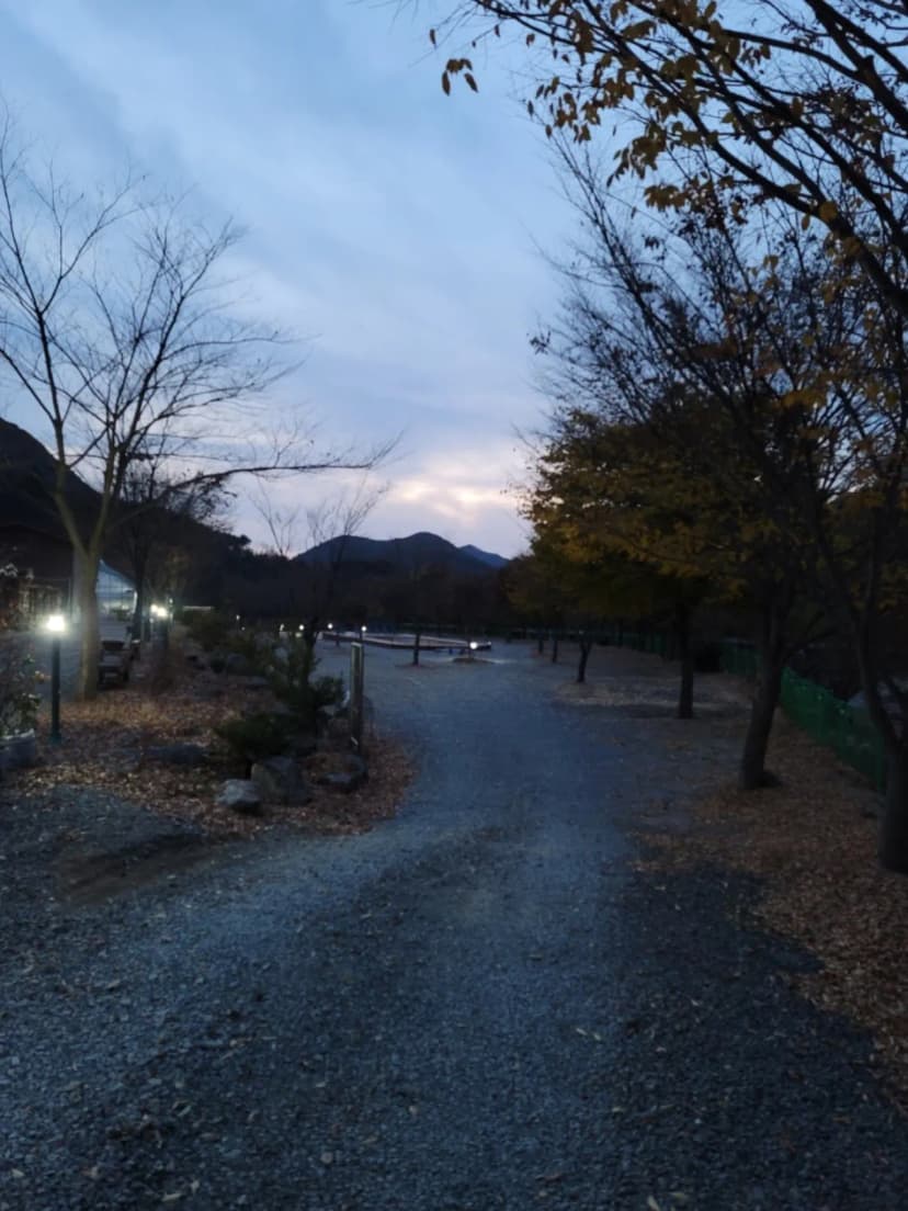 더 하루만 캠핑장 사진 15