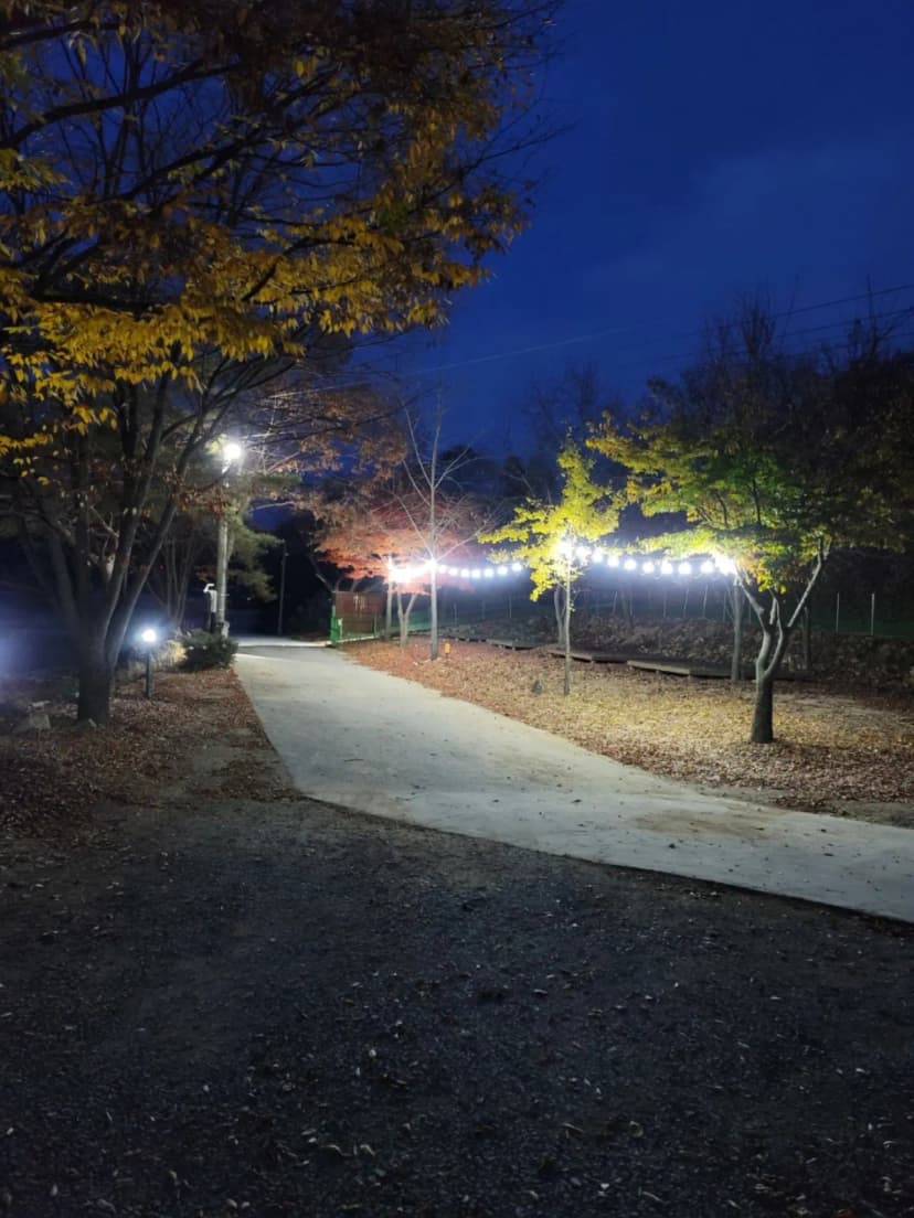 더 하루만 캠핑장 사진 19