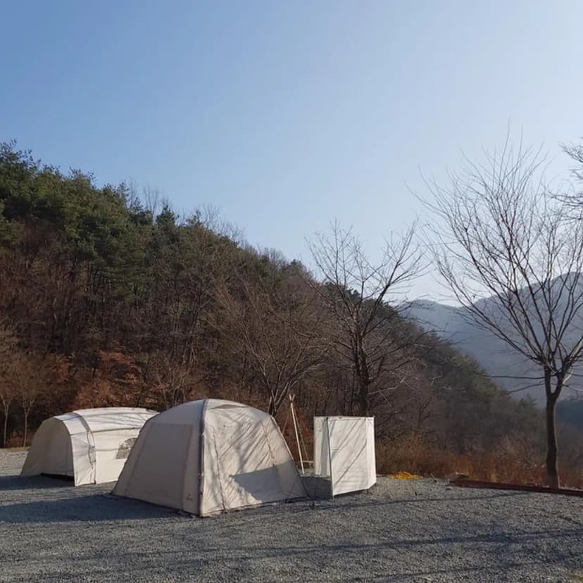 숲에안기다 사진 3