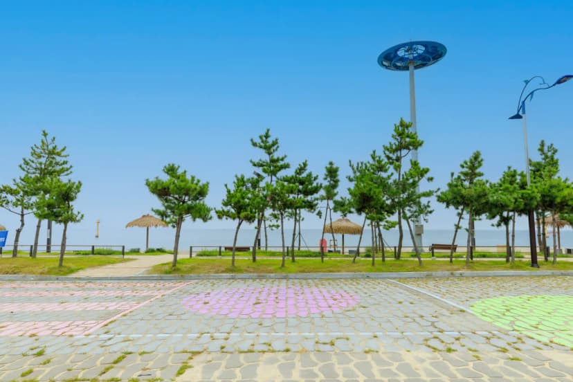 나정고운모래해변 오토캠핑장 사진 6