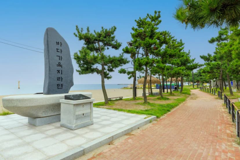 나정고운모래해변 오토캠핑장 사진 11