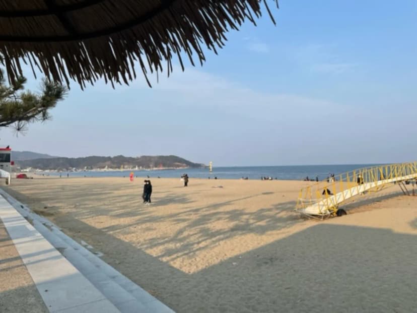 나정고운모래해변 오토캠핑장 사진 18