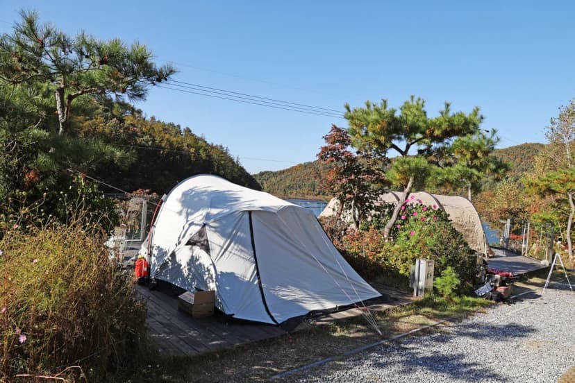 청계호수 자작나무숲 캠핑장 사진 14