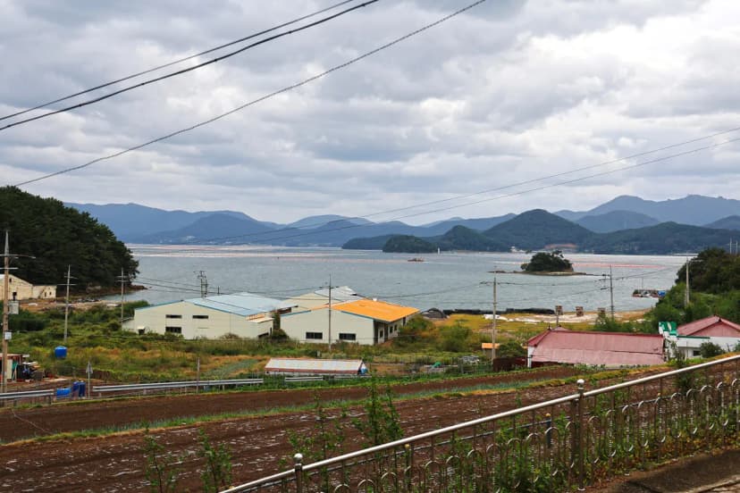 한산도 충무공교실 야영장 사진 7