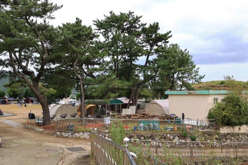 한산도 충무공교실 야영장 사진 9