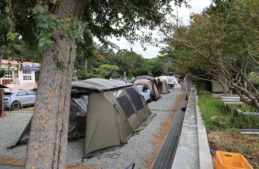 한산도 충무공교실 야영장 사진 15