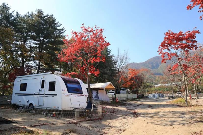 큰돌 캠핑장 사진 2