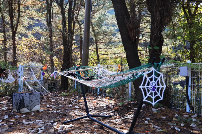 큰돌 캠핑장 사진 4